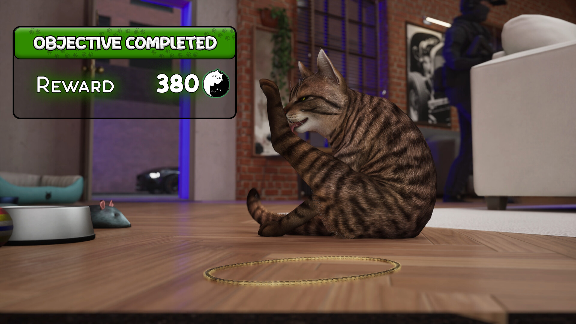 Cat Life Simulator