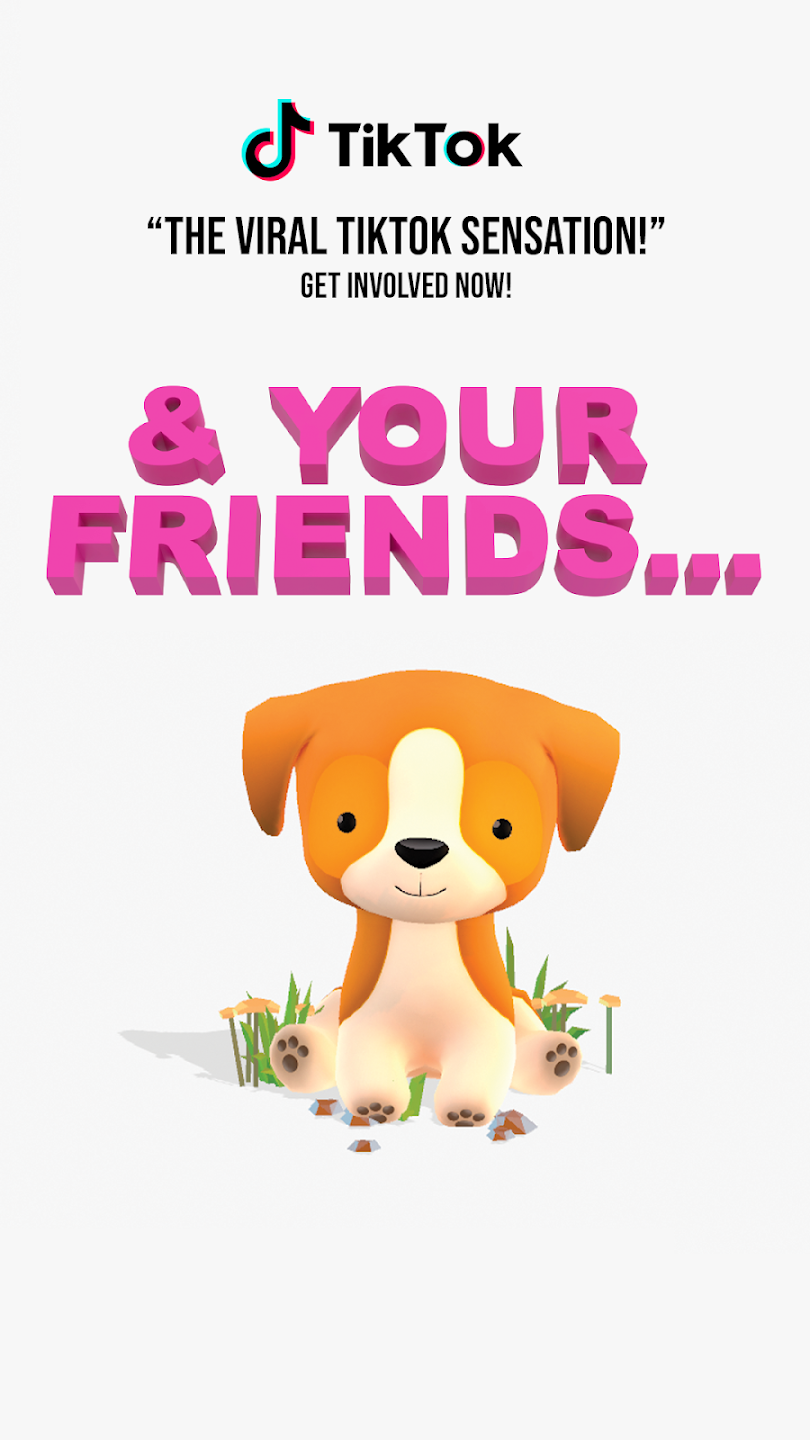 Pokipet