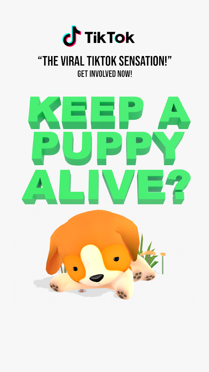 Pokipet