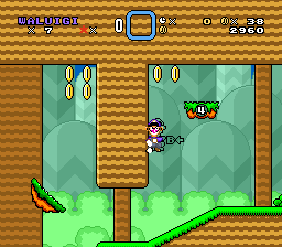 Waluigi’s Wadventure