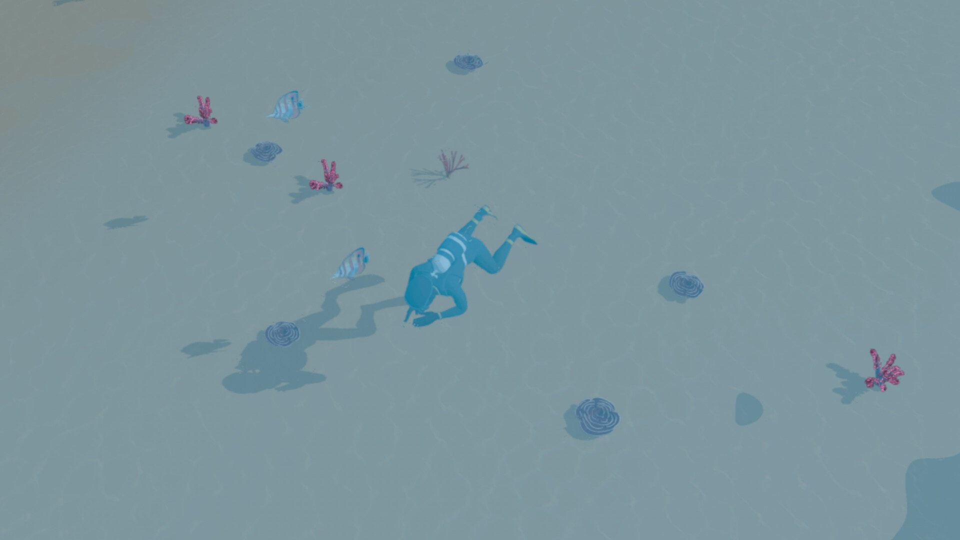 Against The Tide