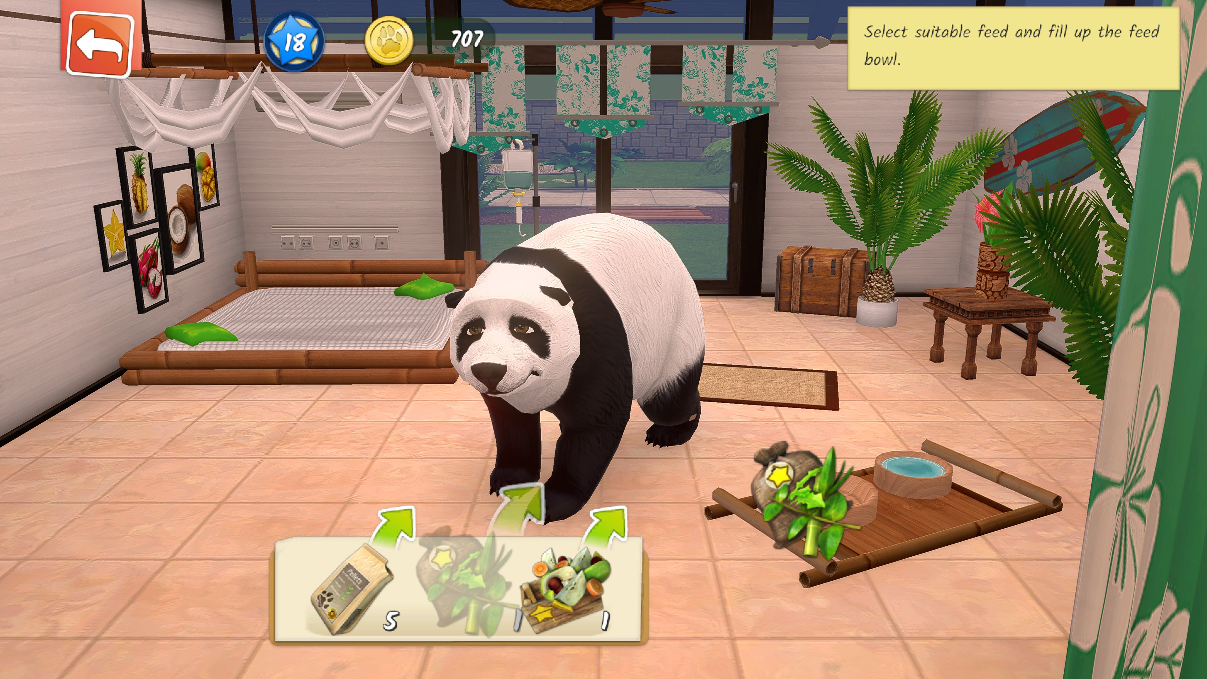 Animal Hospital