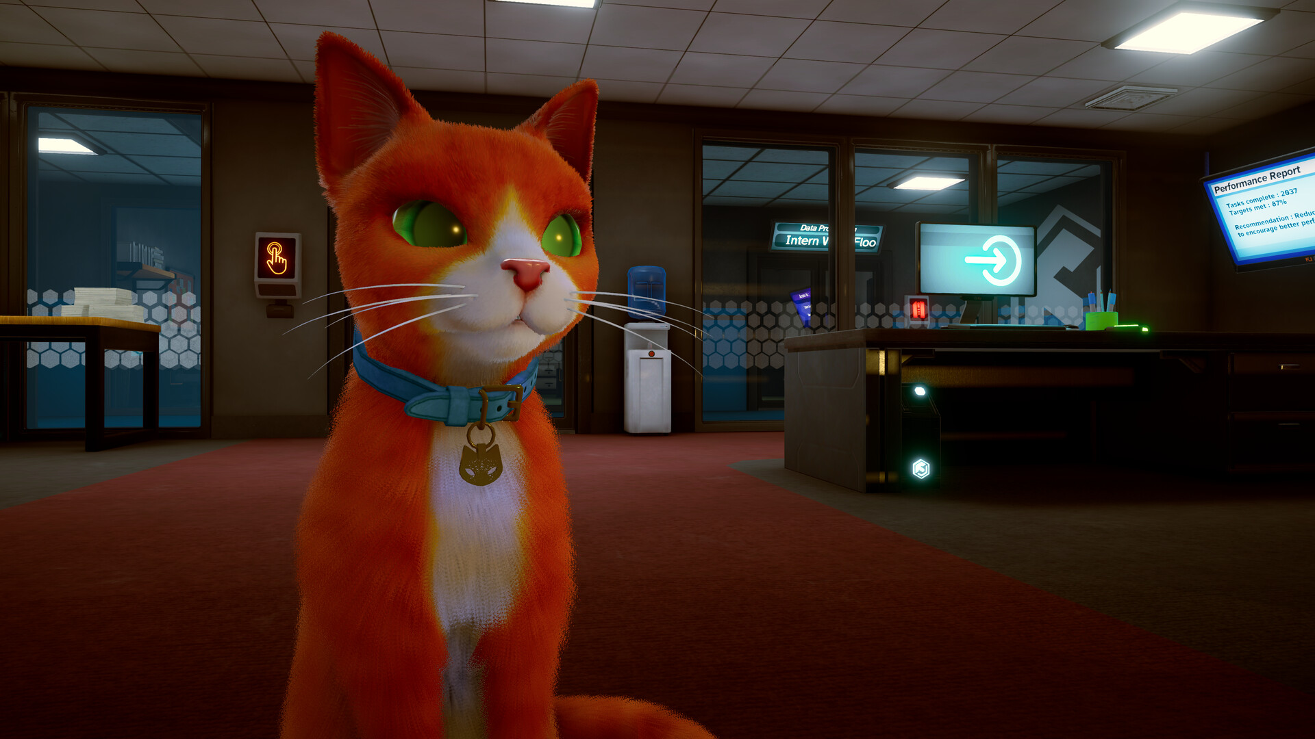 Schrodinger’s Cat Burglar