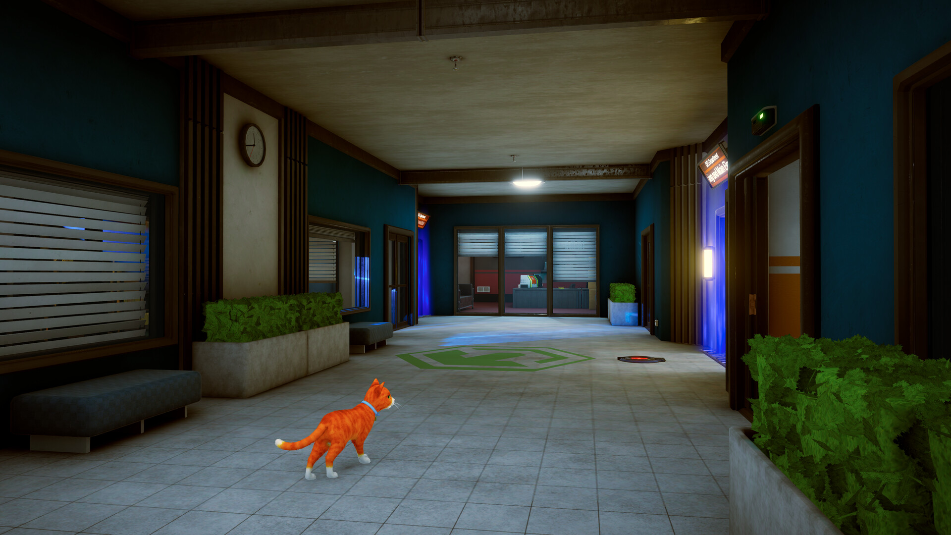 Schrodinger’s Cat Burglar