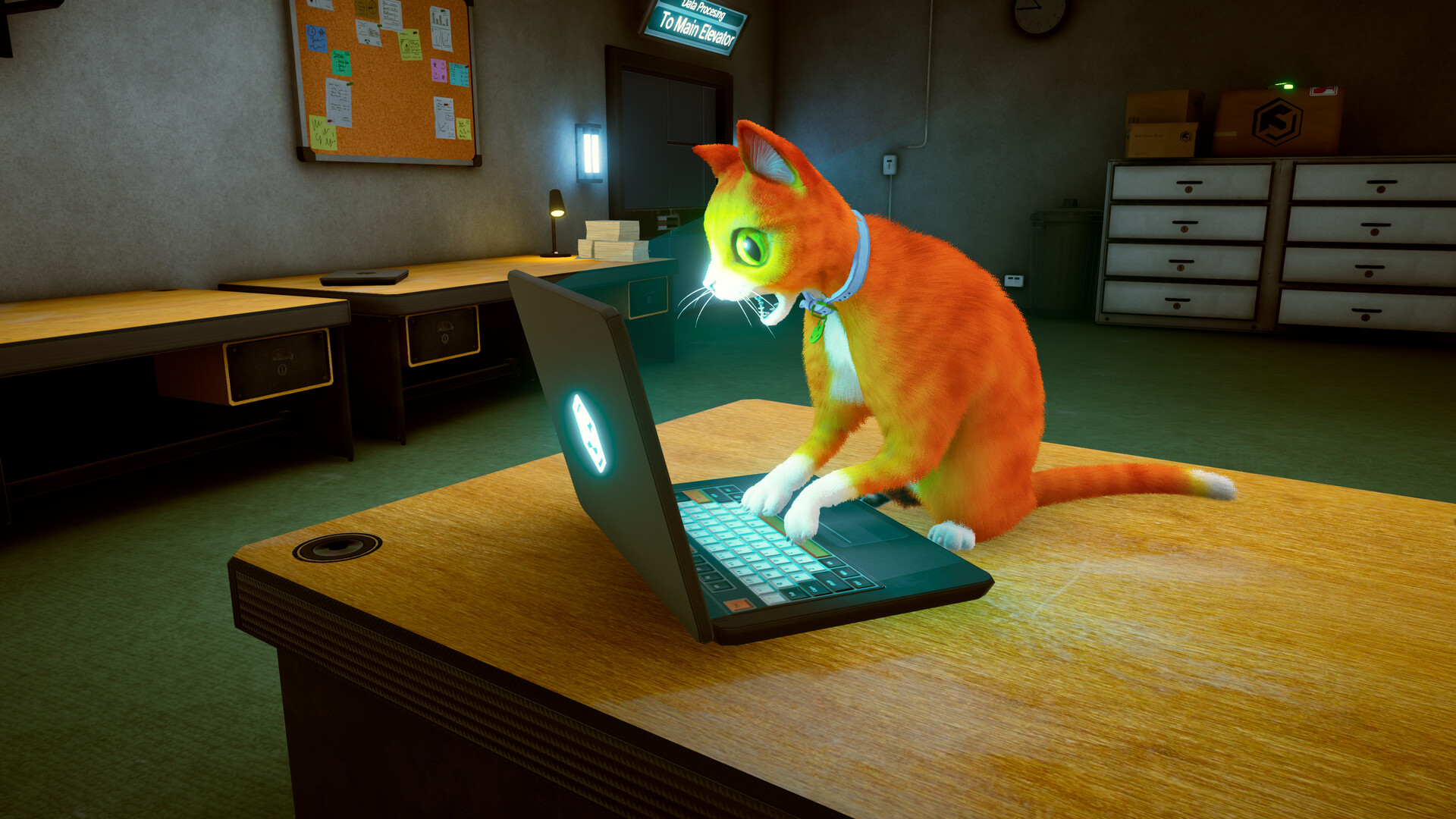 Schrodinger’s Cat Burglar