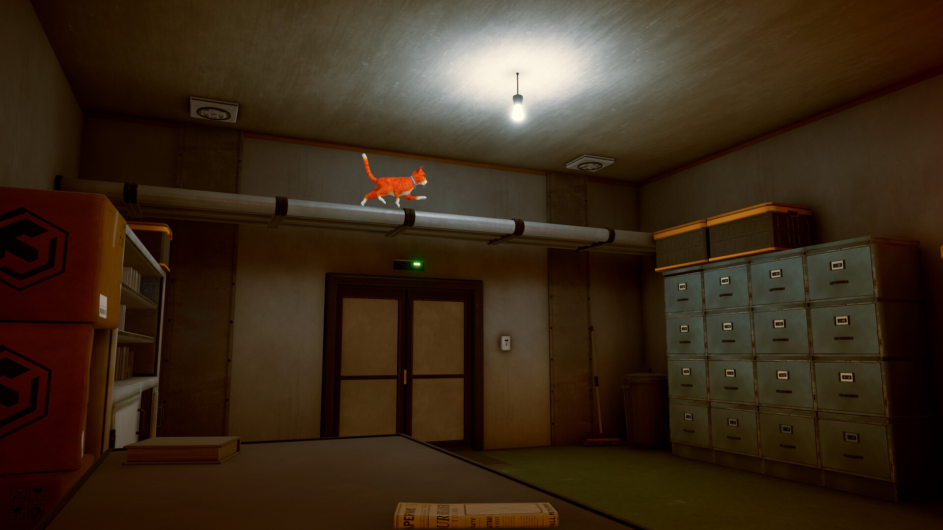 Schrodinger’s Cat Burglar