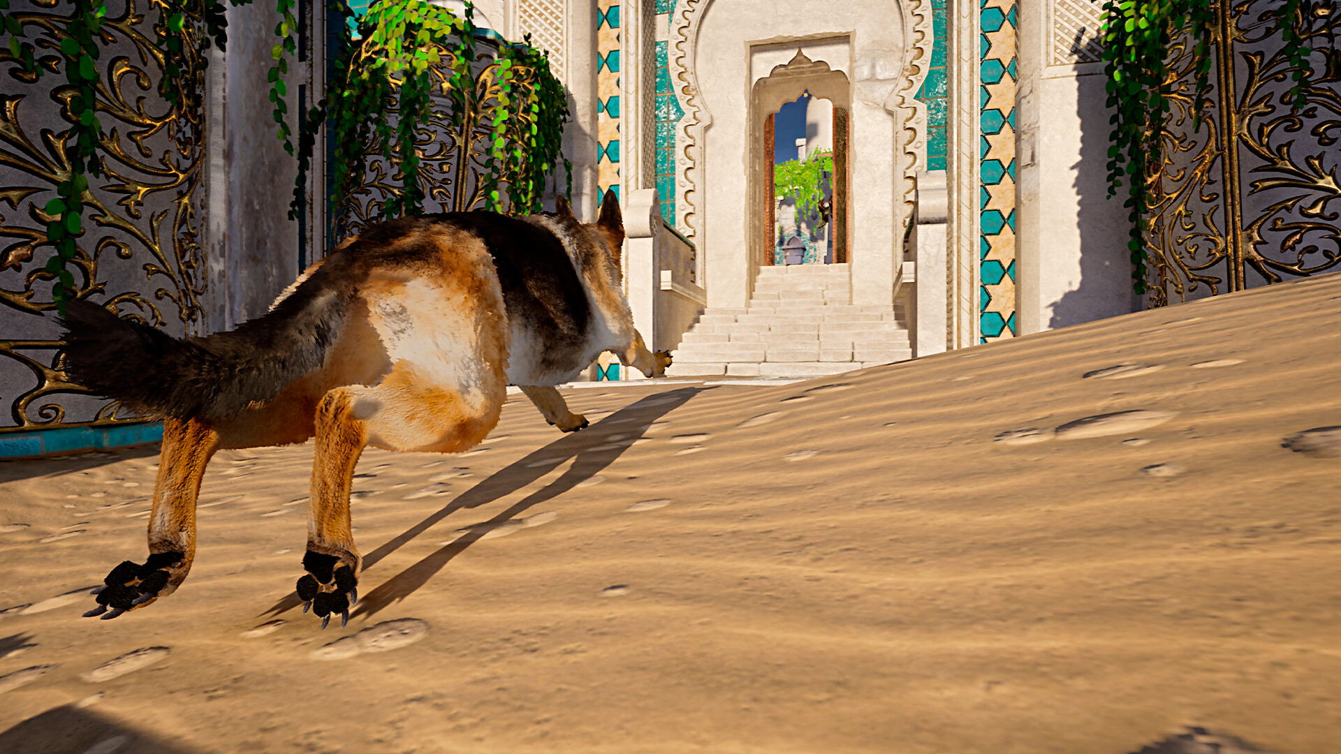Doggy Up!