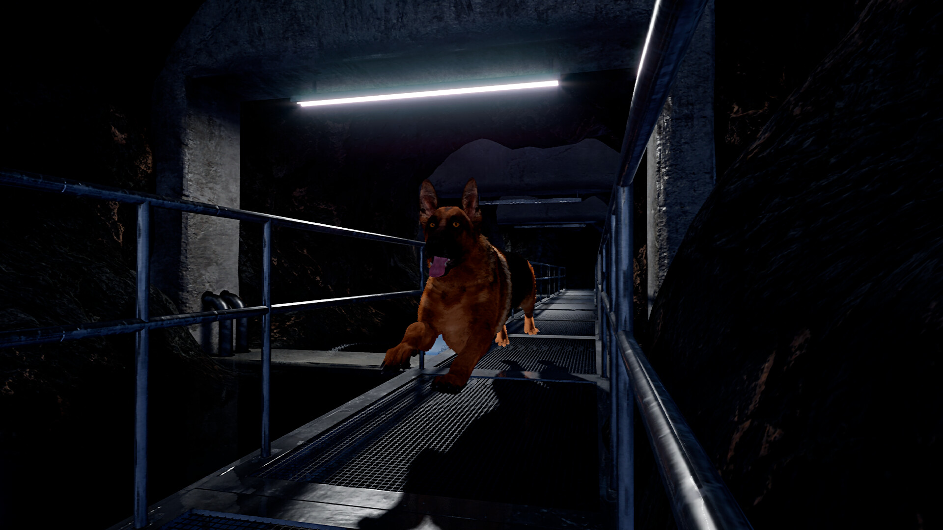 Doggy Up!
