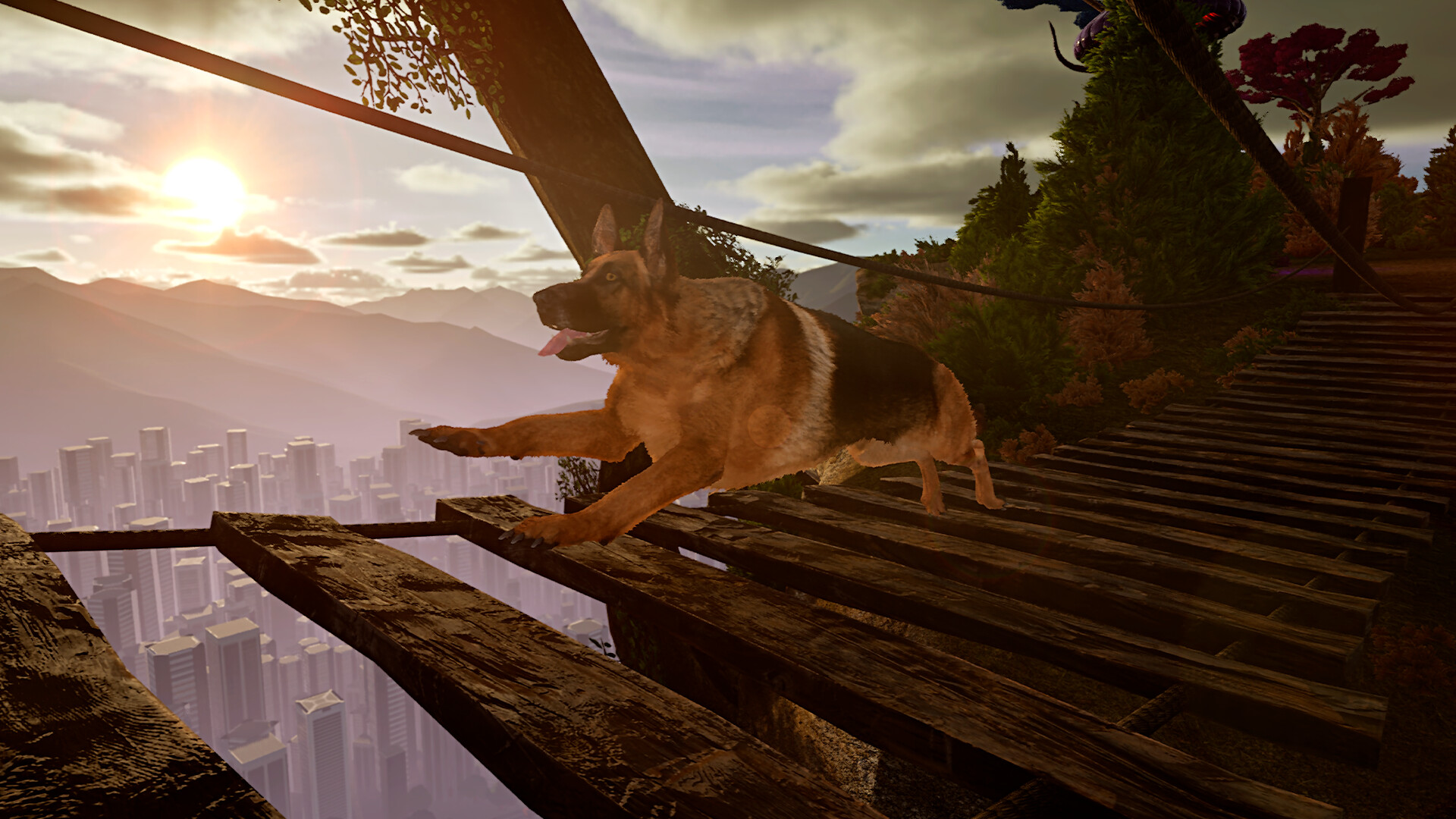 Doggy Up!