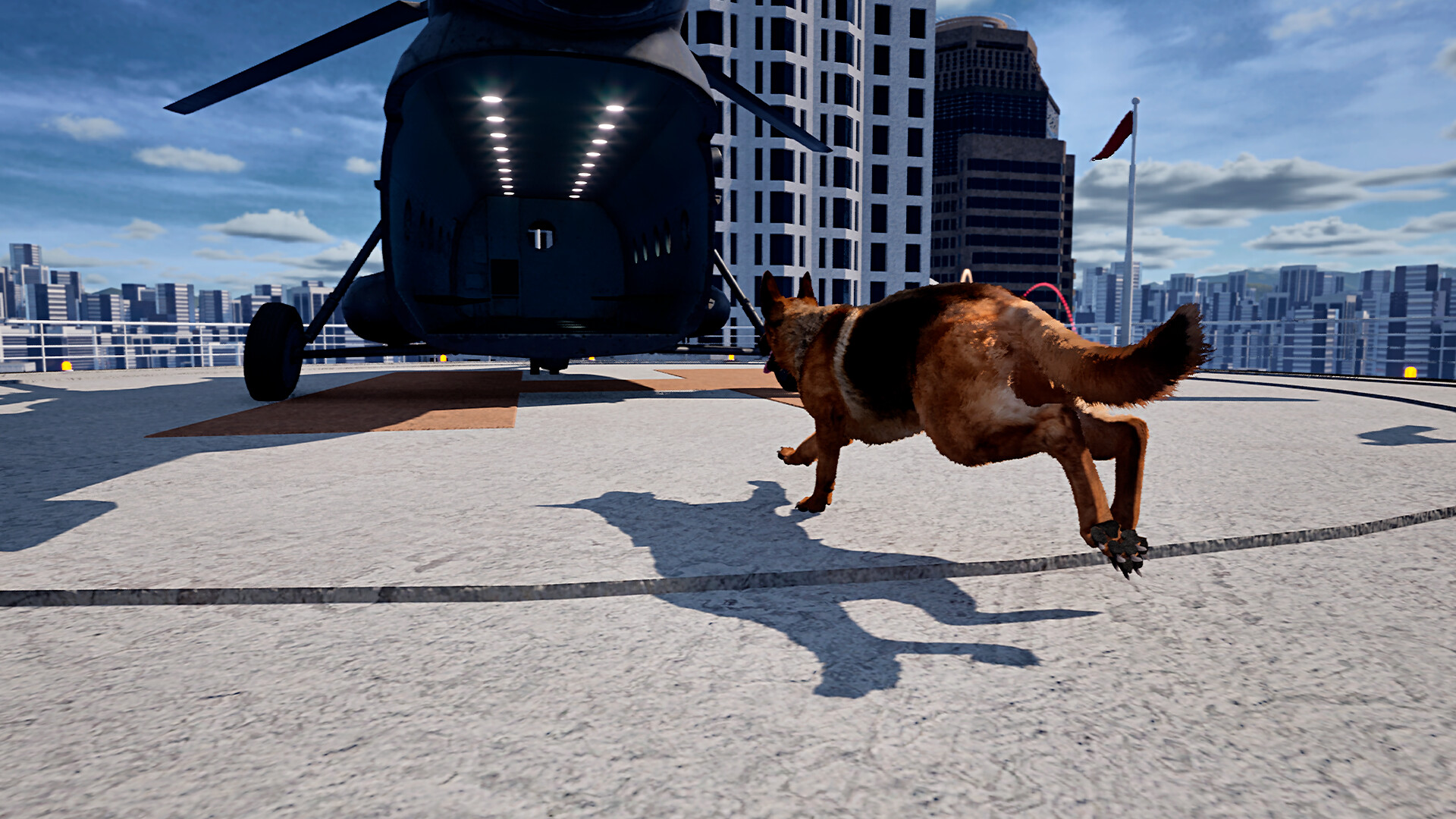 Doggy Up!