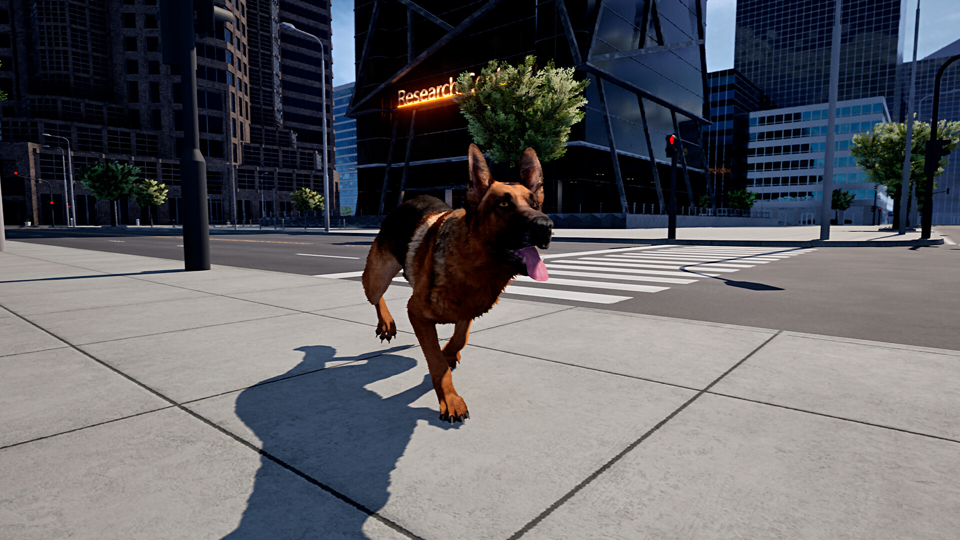 Doggy Up!
