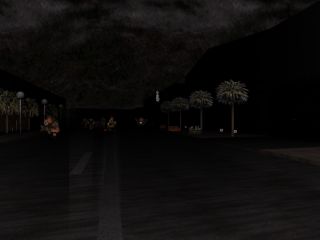 Anarchy City 3: Zero Tolerance