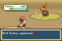 Pokémon Sweet 2th
