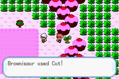 Pokémon Sweet 2th