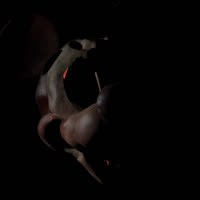 Five Nights at Treasure Island 2: Original Revamp