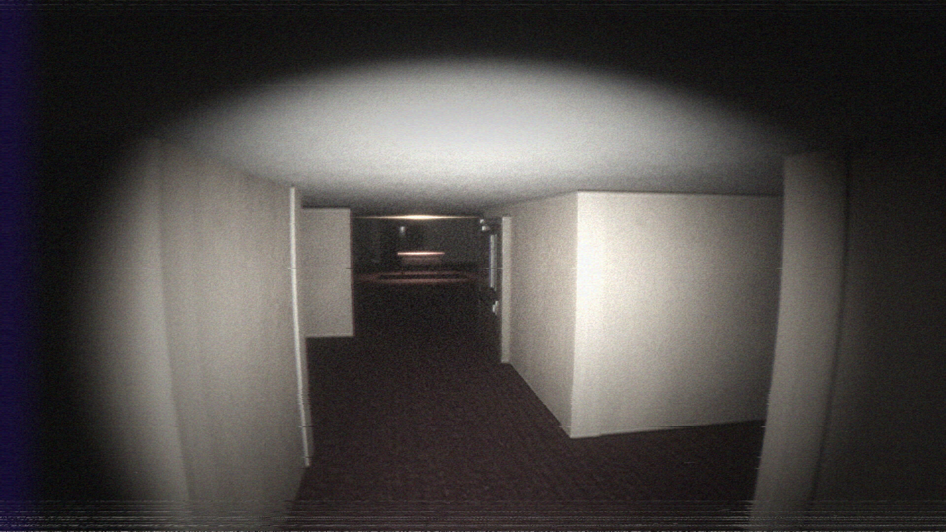 Silkbulb Test