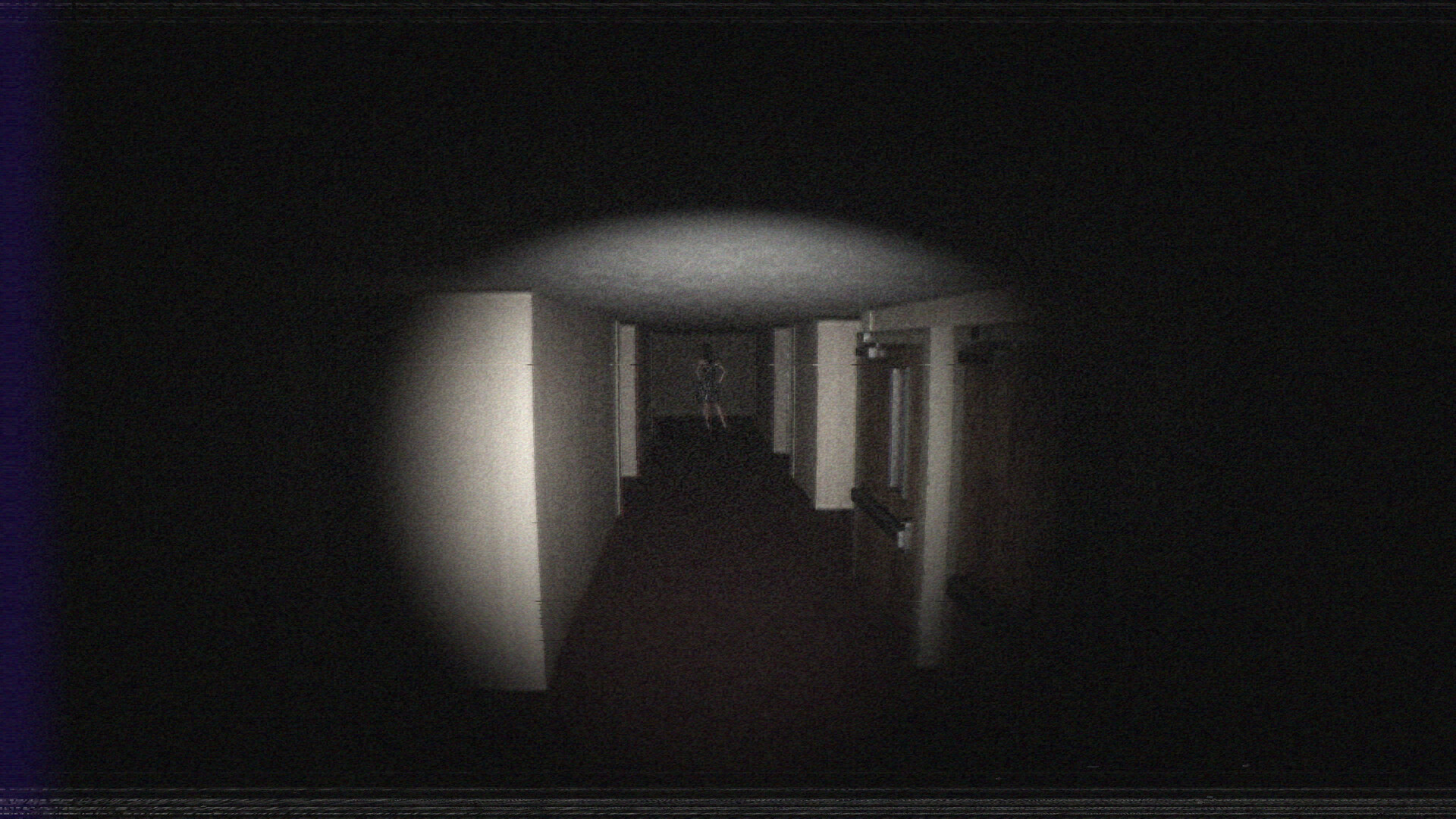 Silkbulb Test