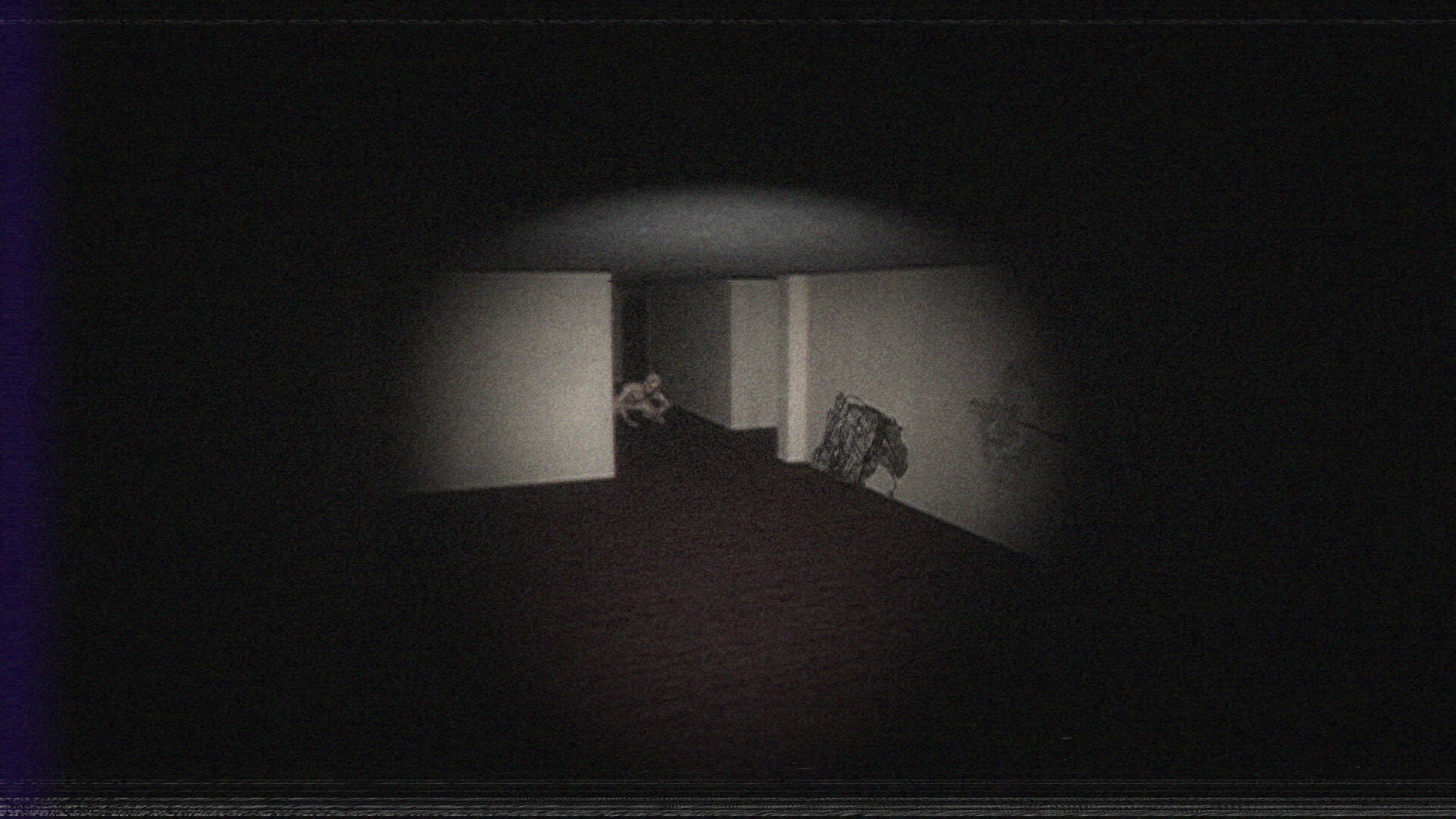 Silkbulb Test