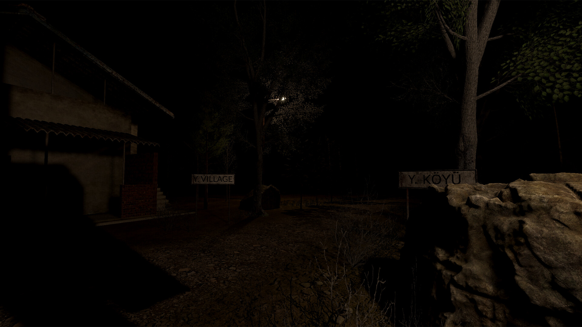 Y. Village: The Visitors