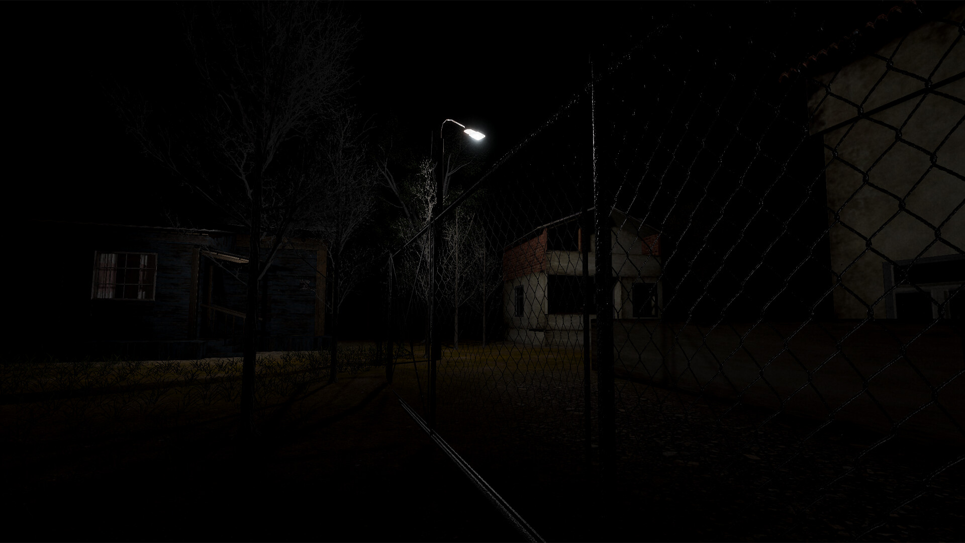 Y. Village: The Visitors