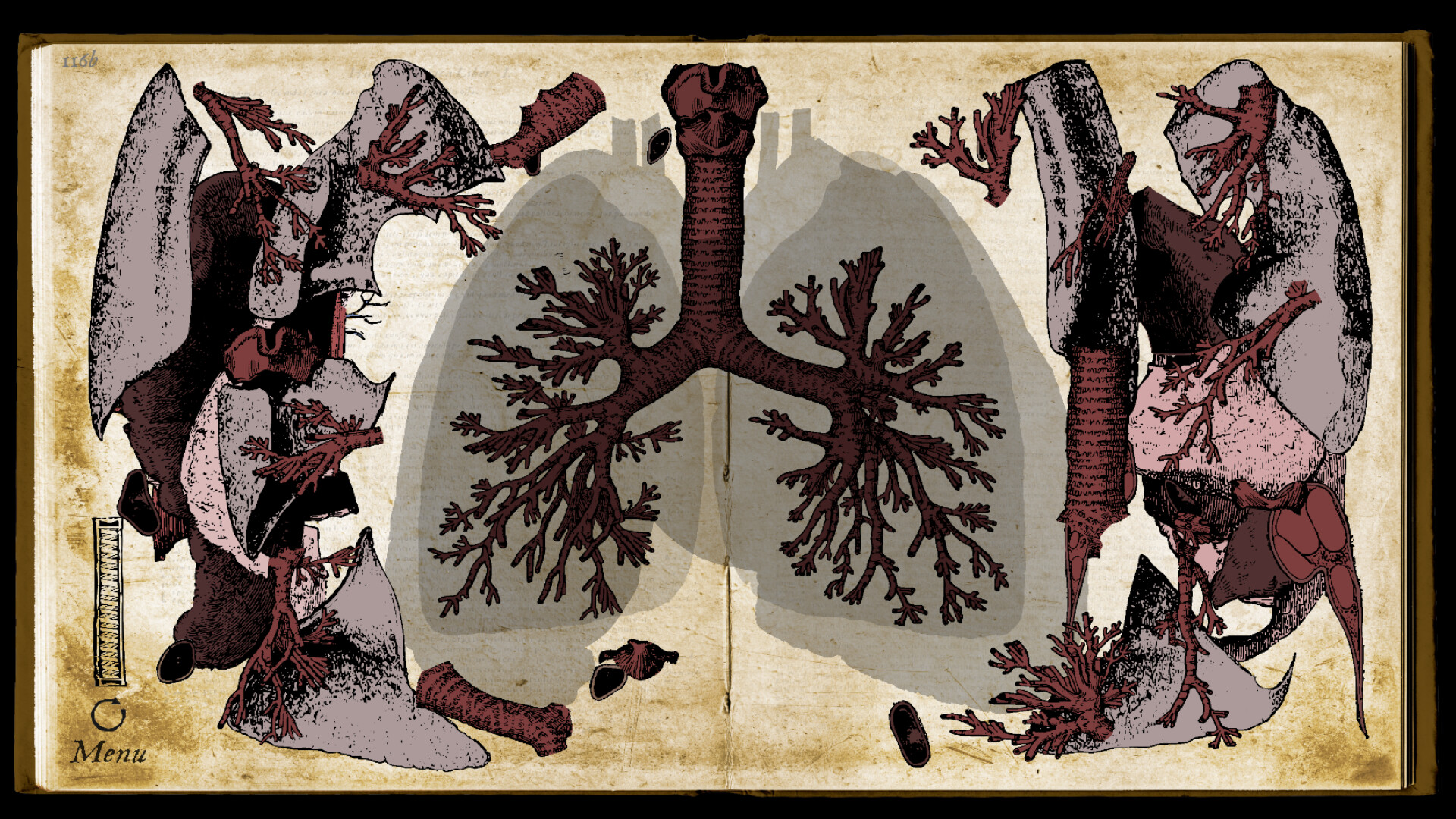 Wound Man