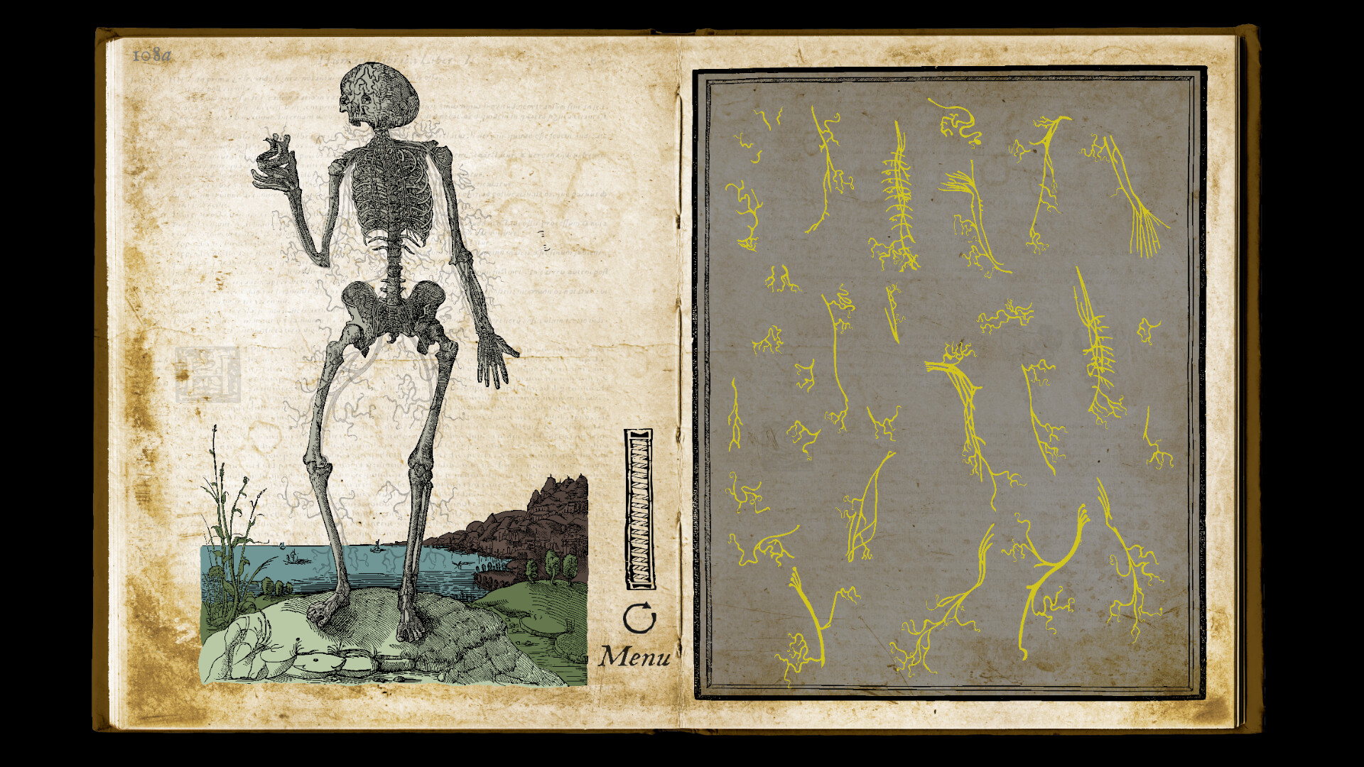 Wound Man