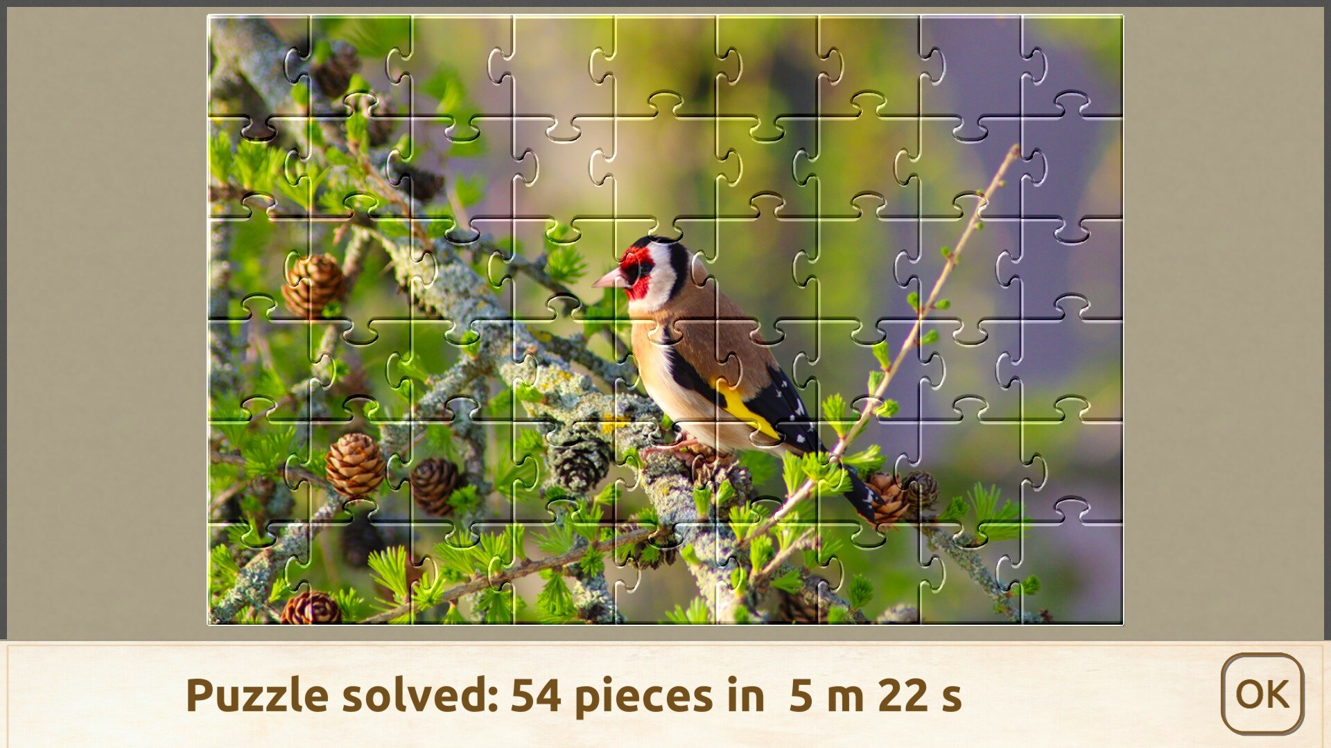 House of Jigsaw: Amazing Birds