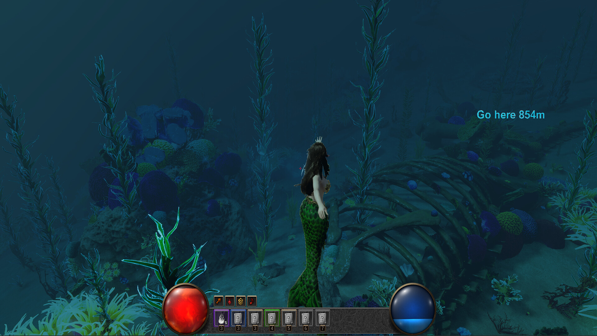 A Mermaid’s Paradoxical Tale