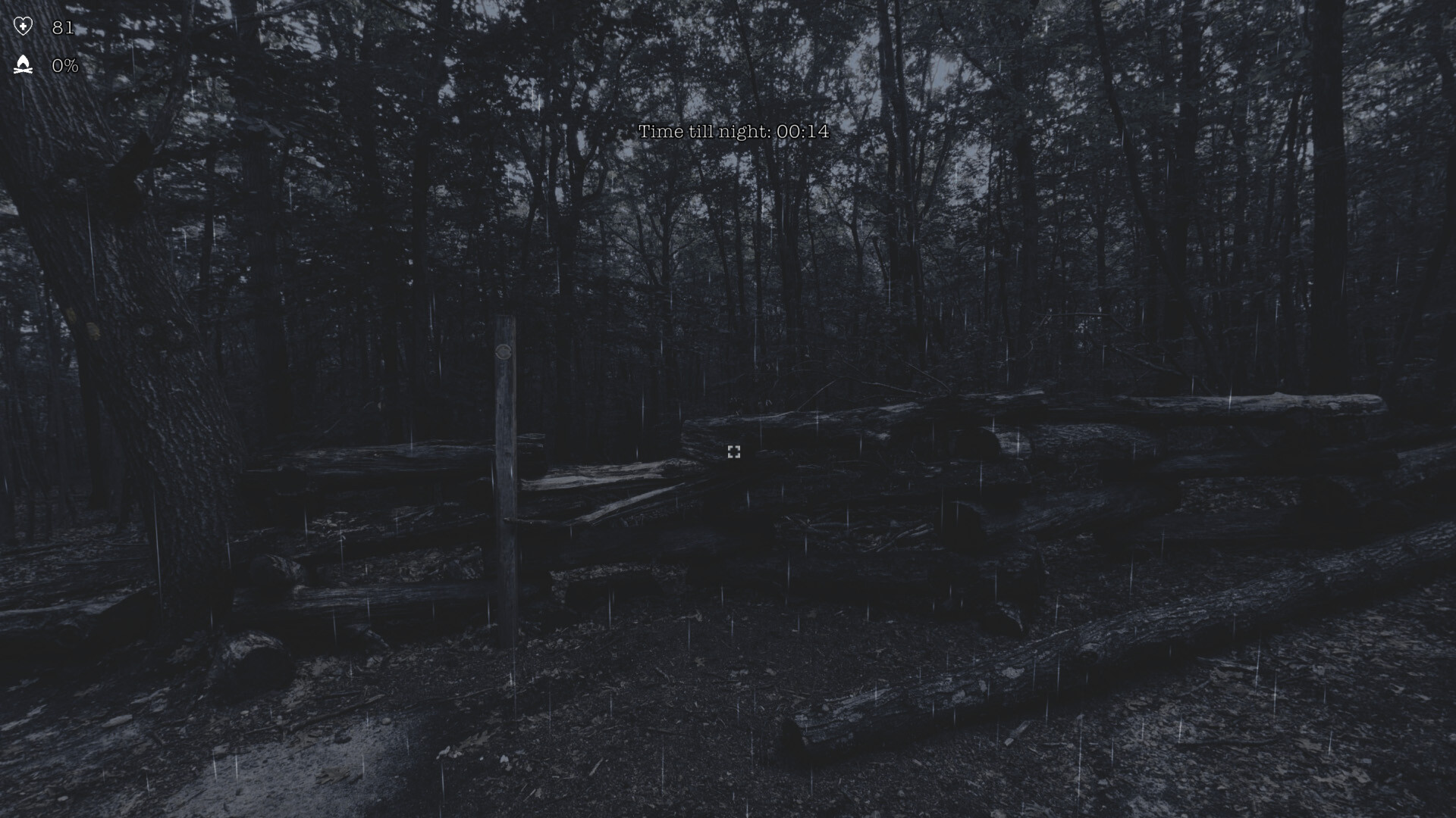 The Holyburn Witches