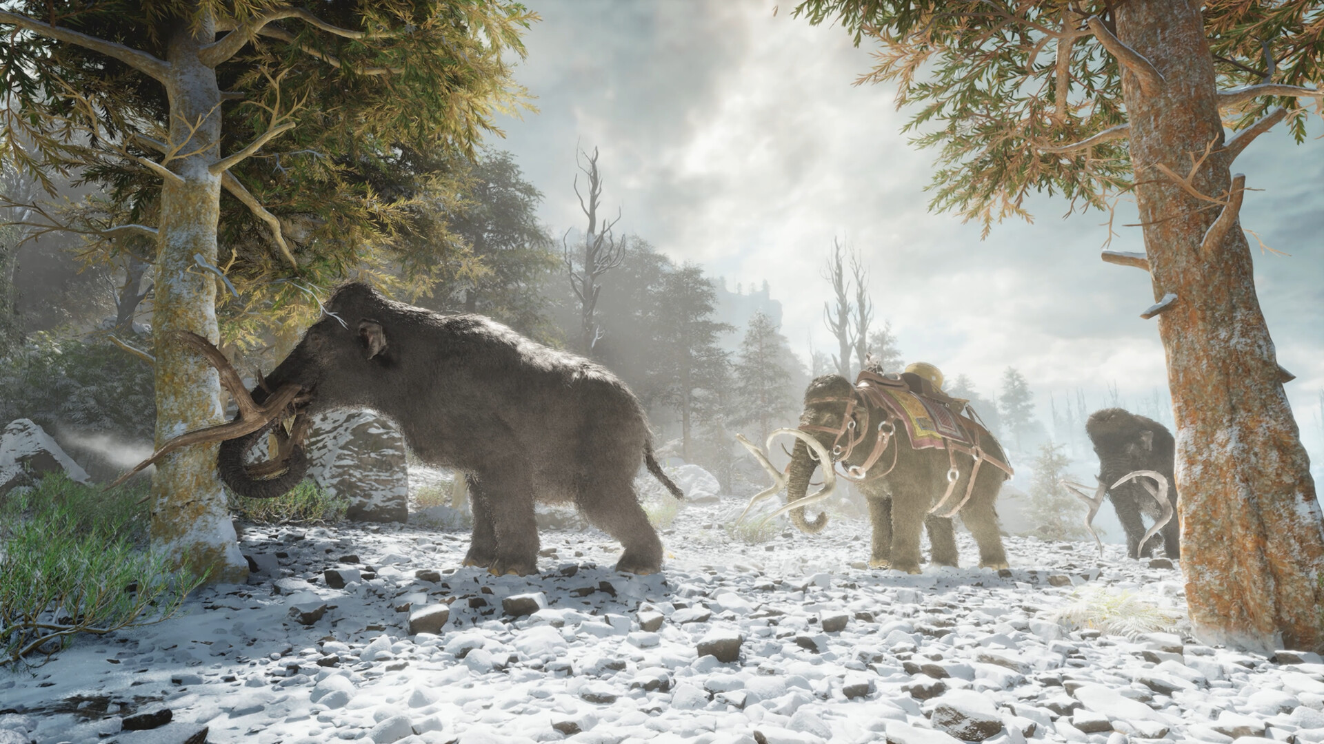Ark: Survival Ascended