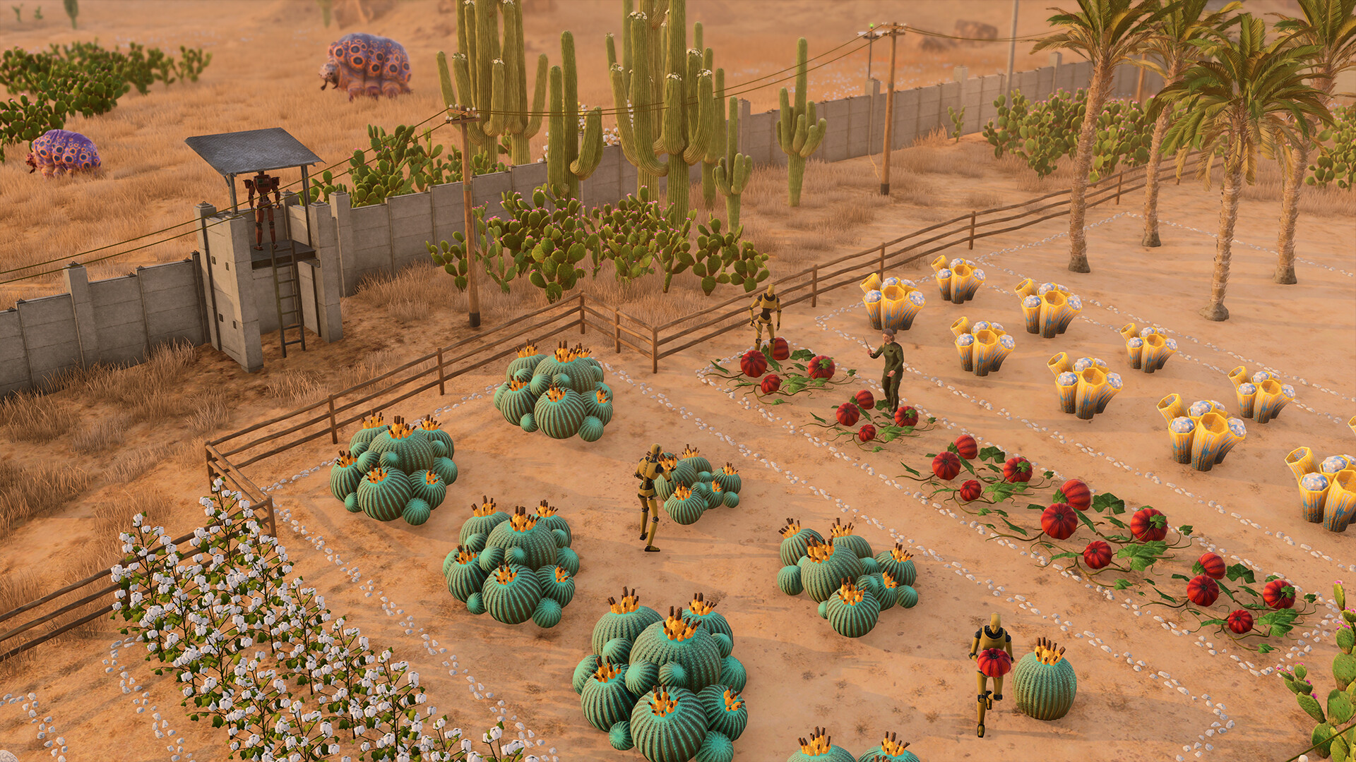 Stranded: Alien Dawn – Robots and Guardians