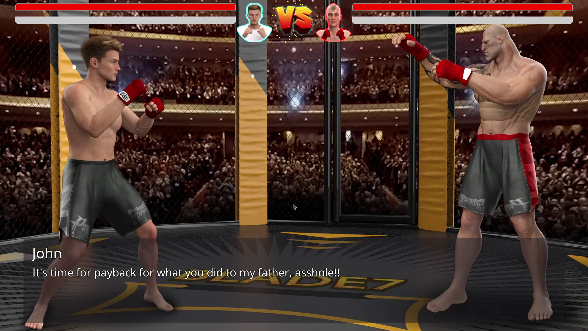 MMA Life Simulator