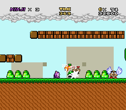 The Ninji Saga Part 1: Birth of a Legend