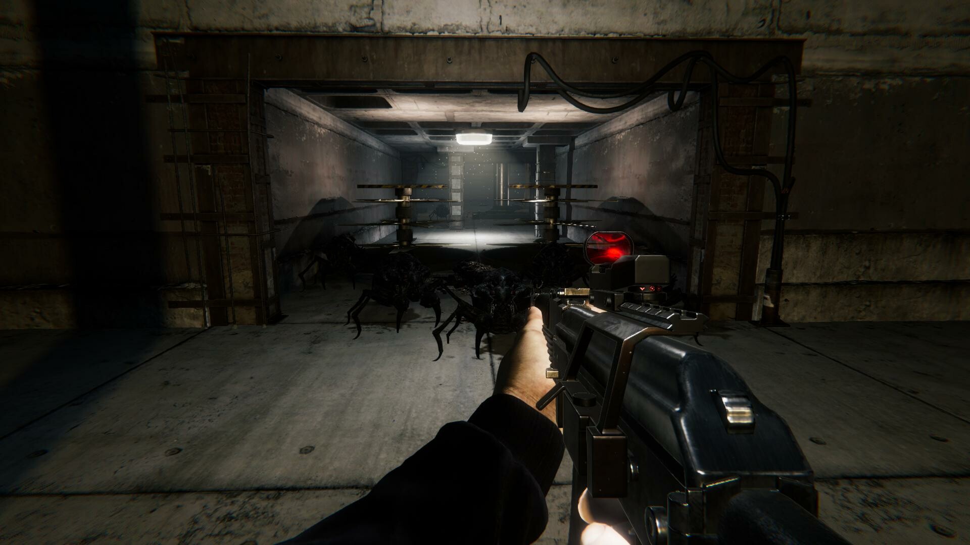 Roach Royale