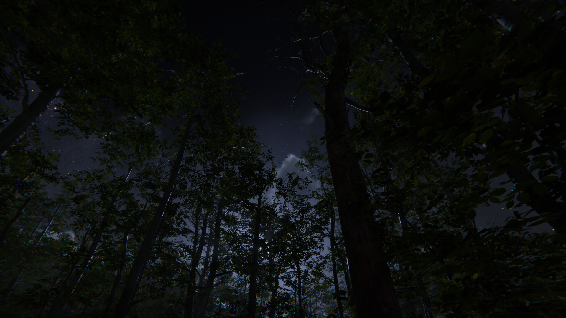 Camping Vlog Simulator 2024
