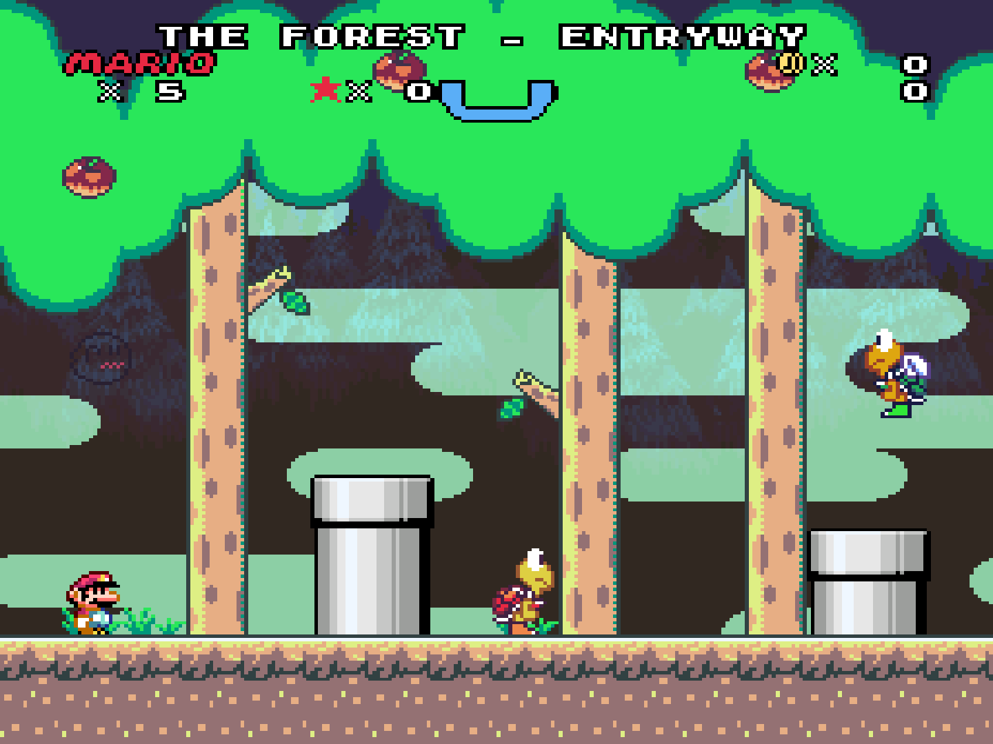 Super Mario: The Cursed Forest