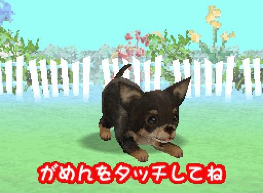 Wan Nyan Doubutsu Byouin