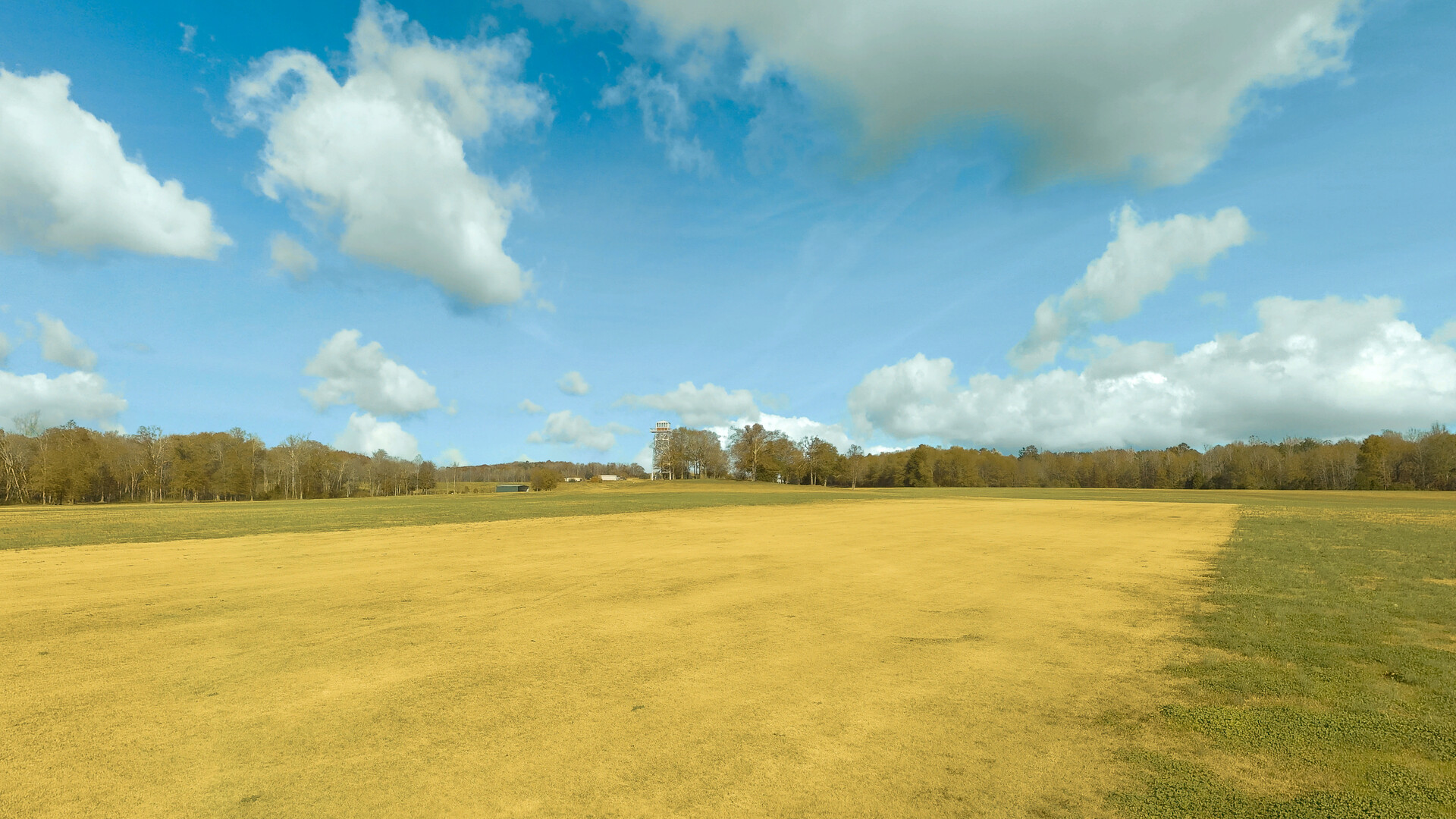 RealFlight Evolution: Triple Tree 3D Flight Line