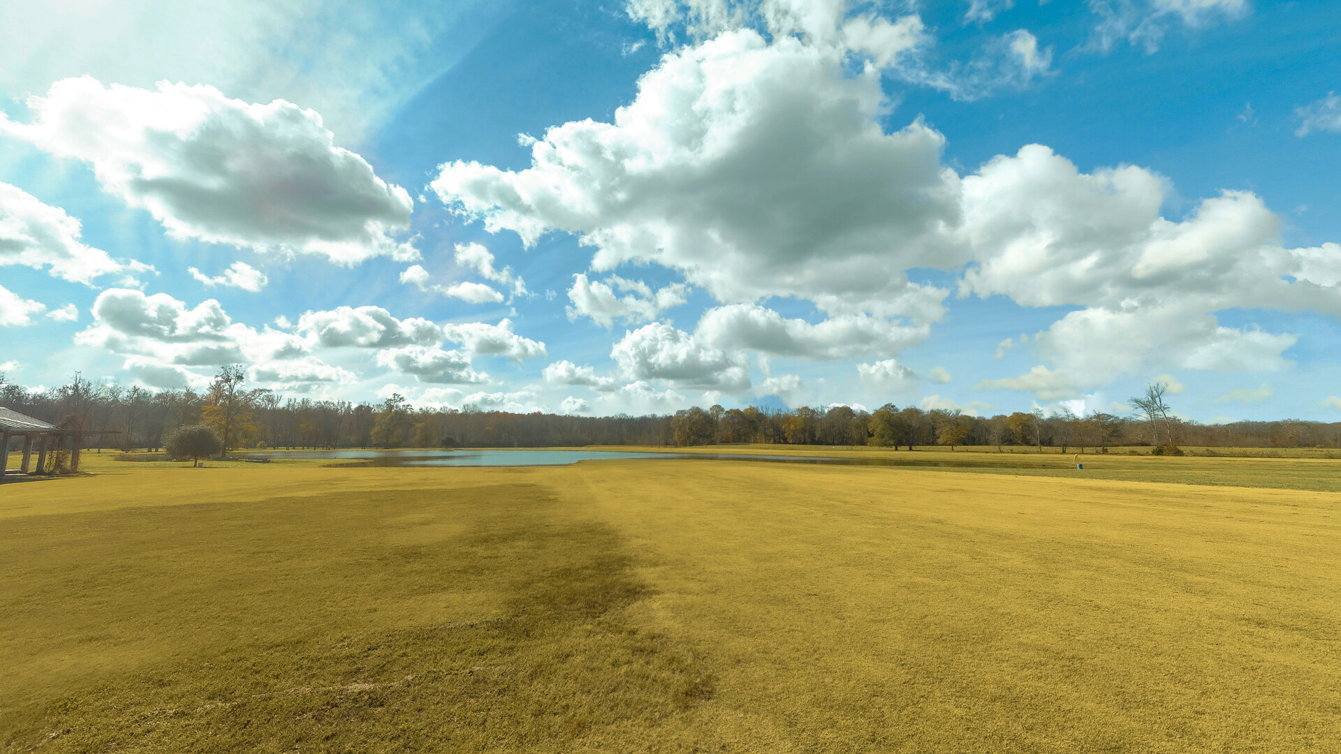 RealFlight Evolution: Triple Tree 3D Flight Line