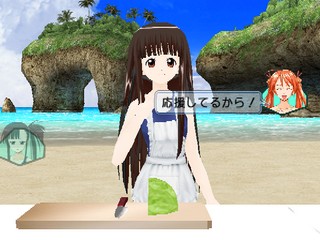 Negima! Magister Negi Magi: Kagai Jugyou – Otome no Doki-doki Beachside