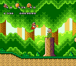 Bowser’s Revenge 3