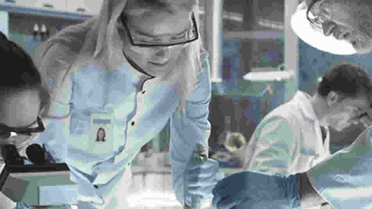 Afterlife Pharmaceuticals