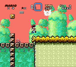 Super Mario World 3: A Whole New World