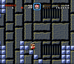Super Mario: Hunter’s Revenge 3