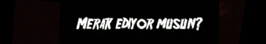 5 Nights at Hoax Freddy’s