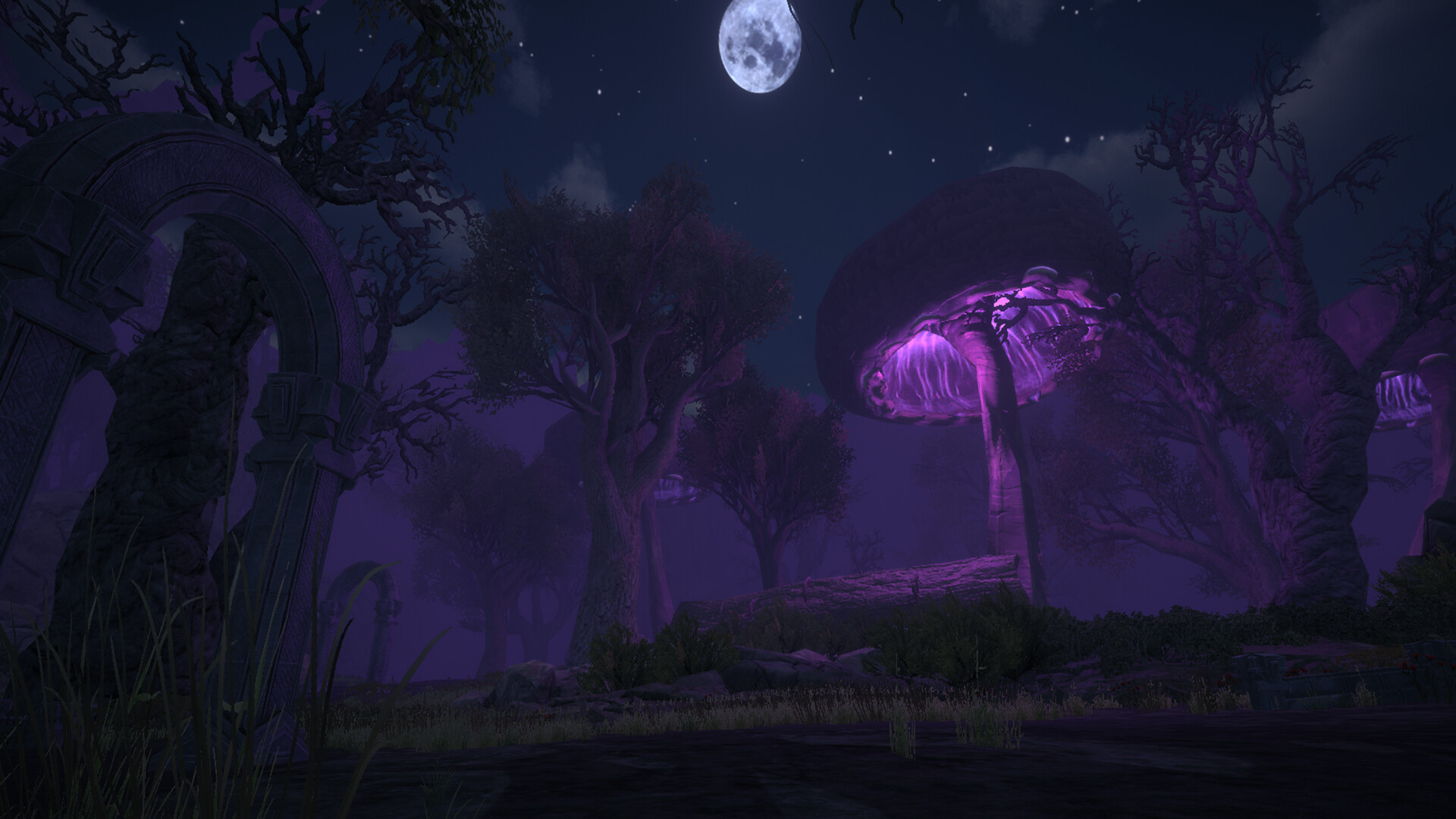 Umbra: The Last Summoner