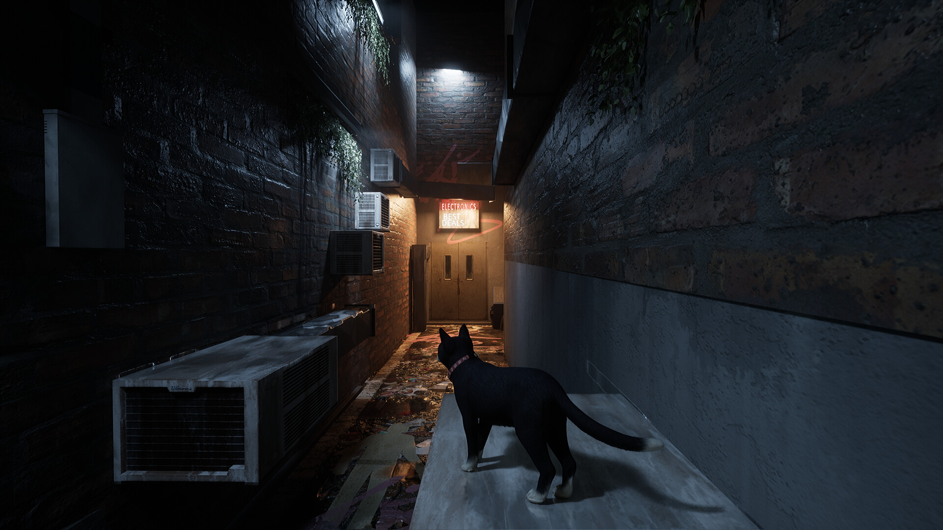 Project Paws
