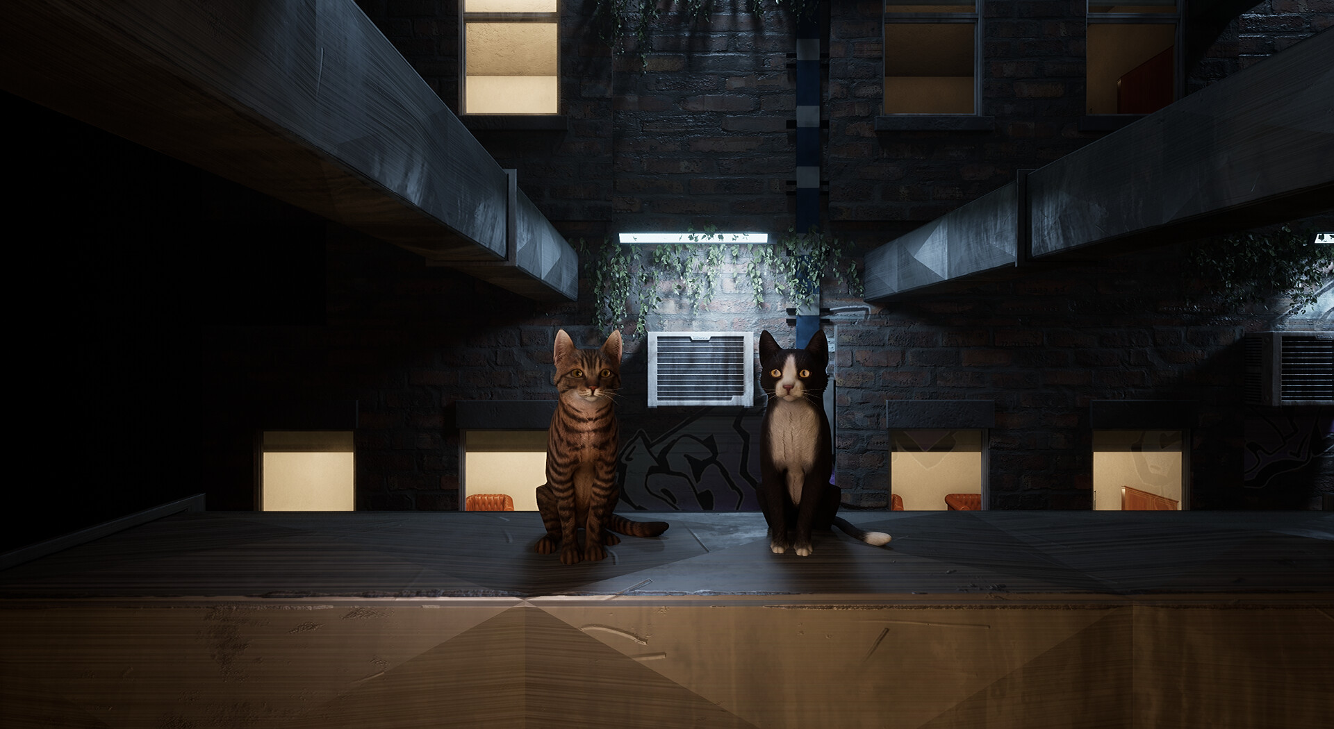 Project Paws