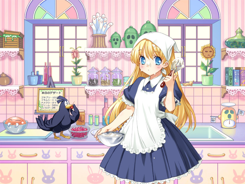 Rance 02: The Rebellious Maidens