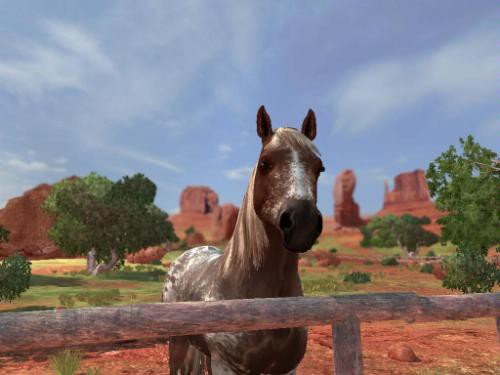 Ellen Whitaker’s Horse Life